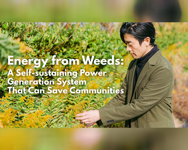 Energy from Weeds: A Self-sustaining Power Generation System That Can Save Communities
