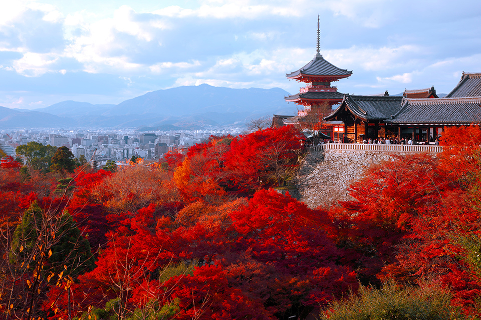 Sacred blue plunge pool