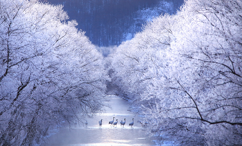 Sacred blue plunge pool