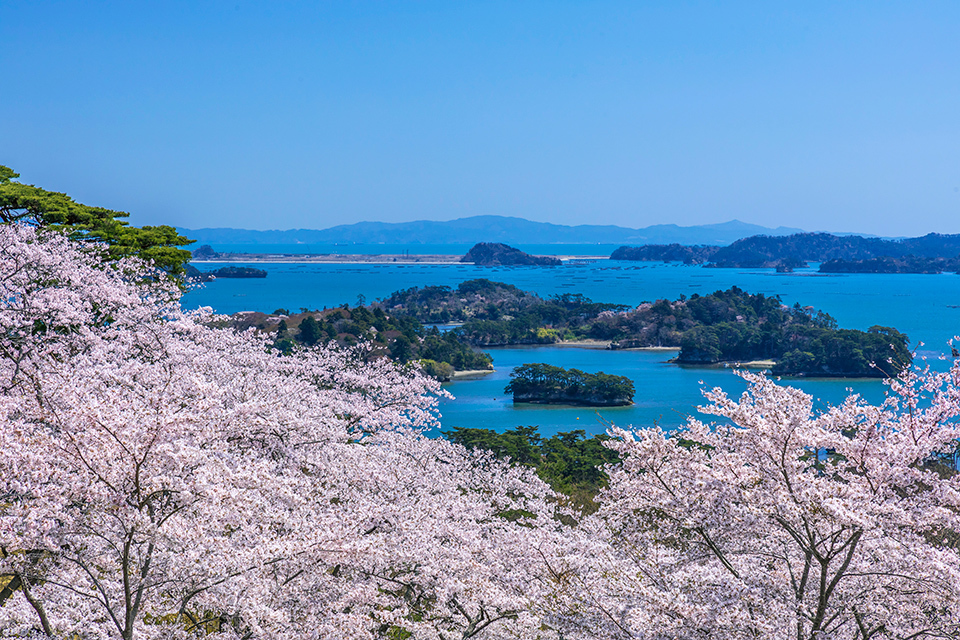 Sacred blue plunge pool