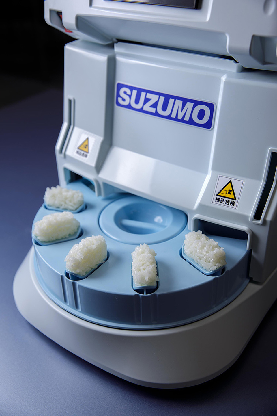 vegetable-packed biryani-style curry and a consommé julienne with onions grown