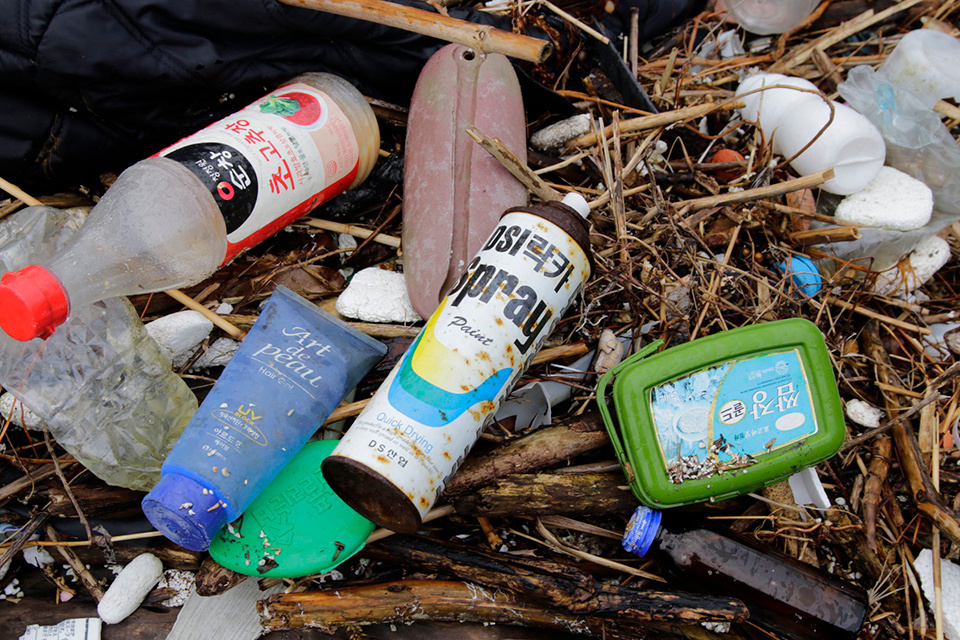 vegetable-packed biryani-style curry and a consommé julienne with onions grown