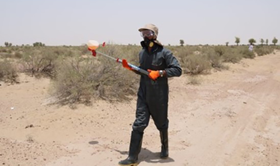 Power Assist Suits reduced back stress and helped officials pick up shots at shot-put venues, while also aiding personnel in the exchange of weight plates during powerlifting competitions. TOKYO 2020