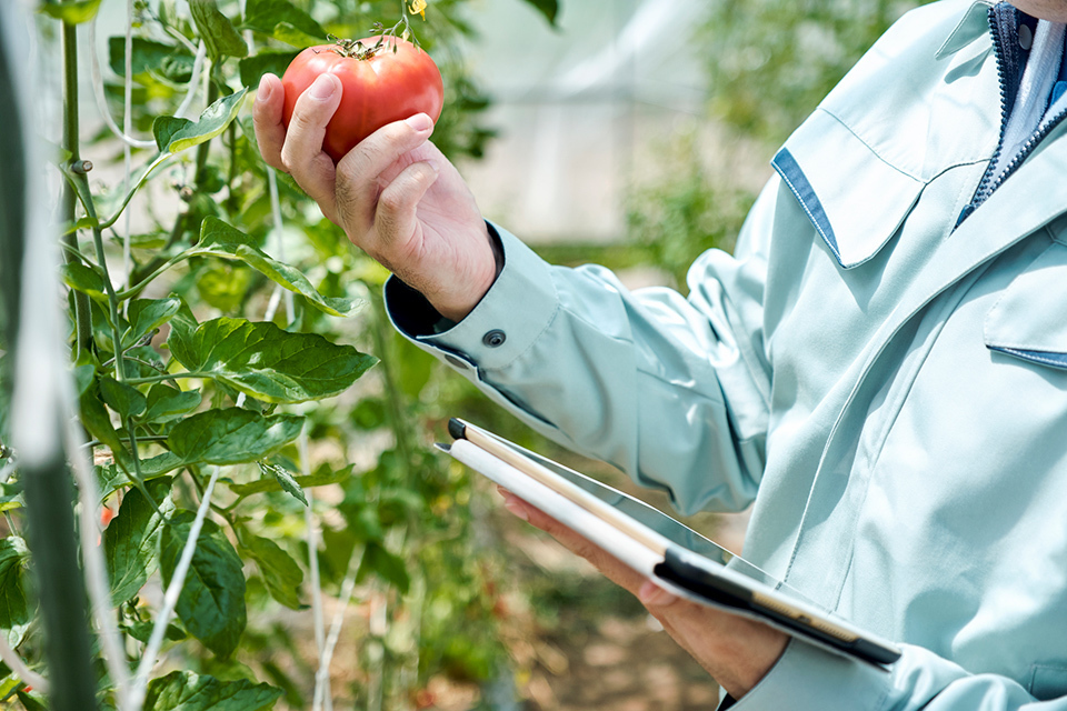 Digital technology is being introduced into Japanese agriculture to improve the efficiency of farm work and address labor shortages stemming from an aging population.
