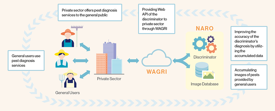 Okinawa on May 15, 1972, the day of its reversion to Japan. Displayed above the road is a banner celebrating the occasion. Under U.S. administrative control and for a while thereafter, cars drove on the right side of the road, but from 1978 onward they switched to the left in accordance with national traffic rules. Changing everything from traffic signals to signs and road markings was an enormous undertaking.  THE YOMIURI SHIMBUN/AFLO