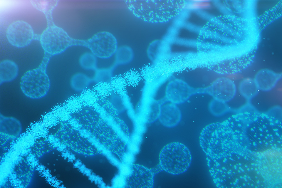 Genome sequence YUICHIRO CHINO/GETTY IMAGES