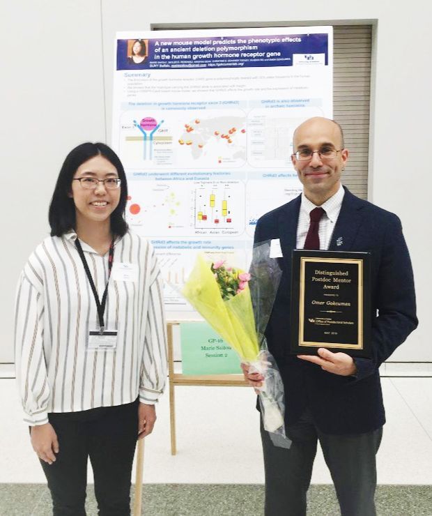 When working as a postdoctoral fellow in the United States, Saitou studied under Professor Omer Gokcumen (right) at the State University of New York in Buffalo, where she immersed herself in her research, including the study of Neanderthal DNA. Behind her is a poster describing the results of her research.