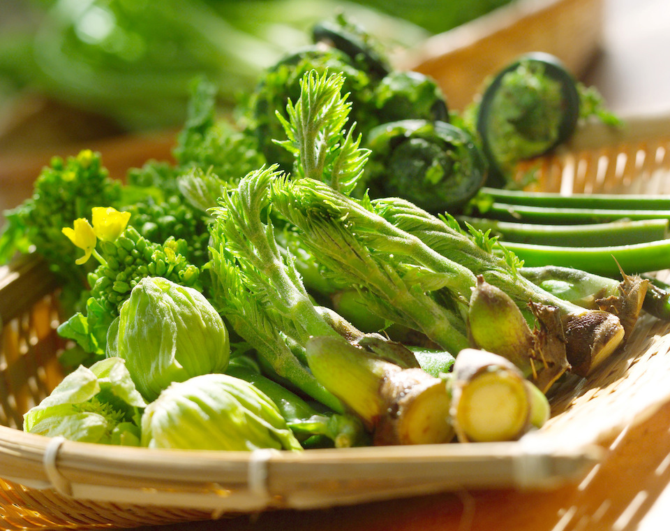 Japanese people look forward to the apprearance of edible wild plants in spring. TADAO KIMURA/AFLO
