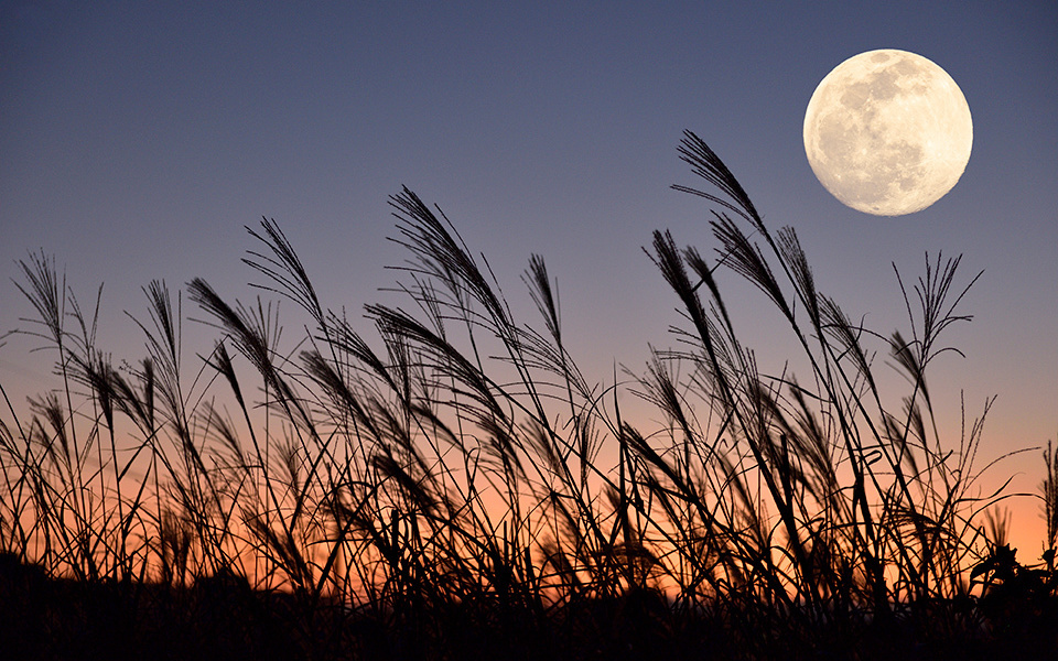 Discover the Gifts of Nature and the Flavors of the Season