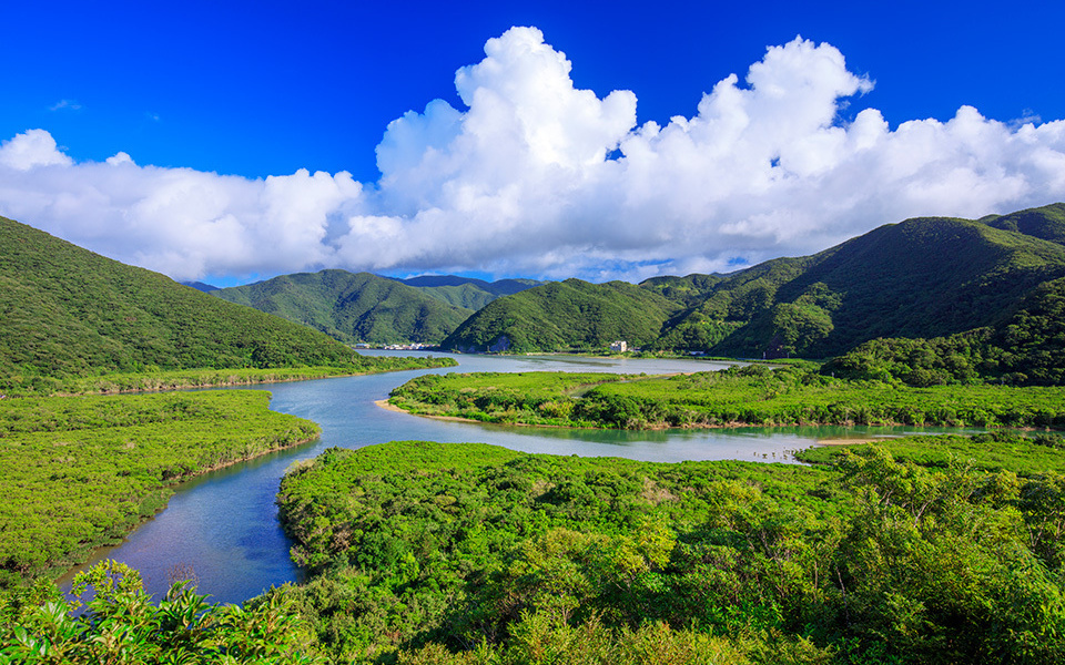 New World Natural Heritage Site Shows Unique Biodiversity
