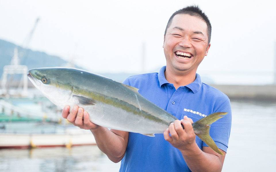 The Distinguished Island Producing the “World’s Beloved Yellowtail”