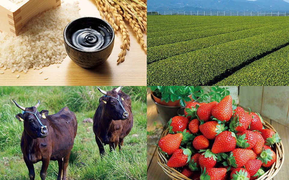 Creating Vibrant Communities by Expanding Agricultural Exports