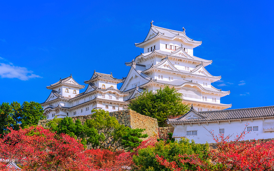 Colors and Savors of Autumn Reflect Japan