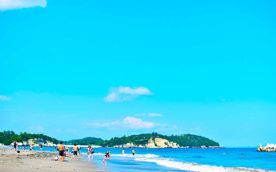 The Roadmap to a Blue Flag Beach and Sustainable Tourism in Miyagi
