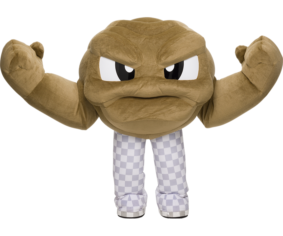 Geodude, an ambassadroial Pokémon for Iwate Prefecture