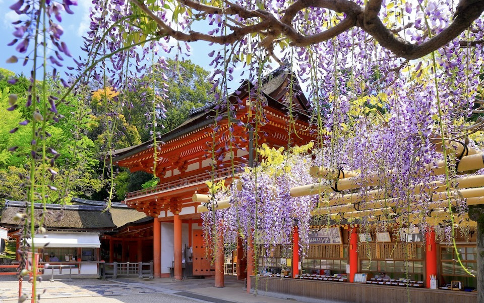 Japan’s Historical Landmarks Adorned by Plants in Spring
