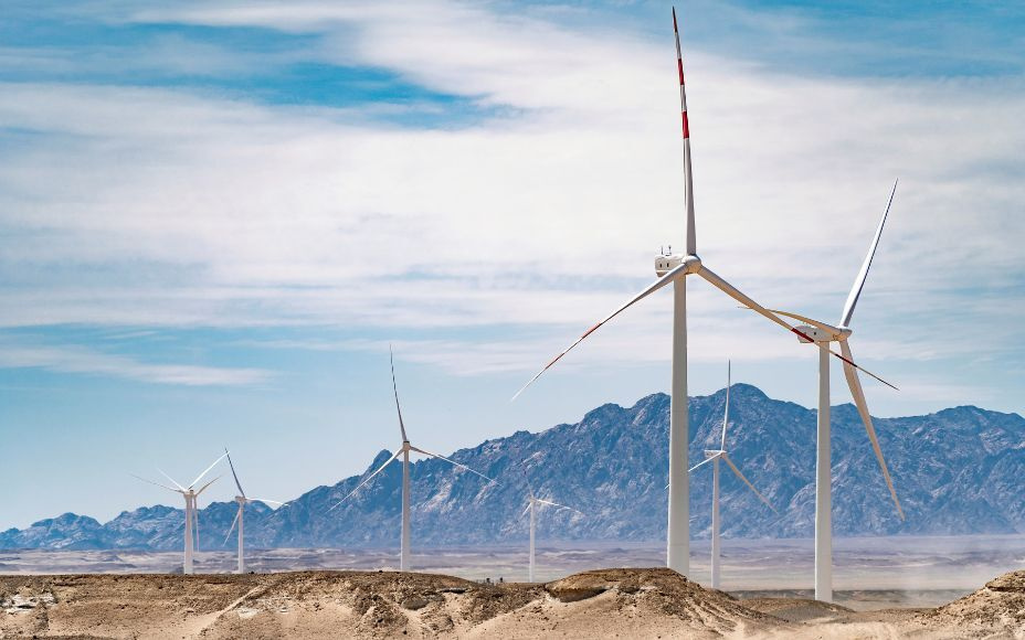 Egypt’s Wind Power: Japanese Expertise in Wind Analysis Propels Renewable Energy Projects