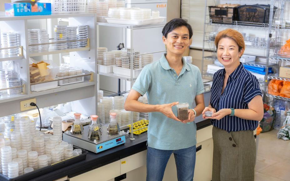 Dark Septate Endophyte: A Novel Solution for Soil Degradation and Climate Change