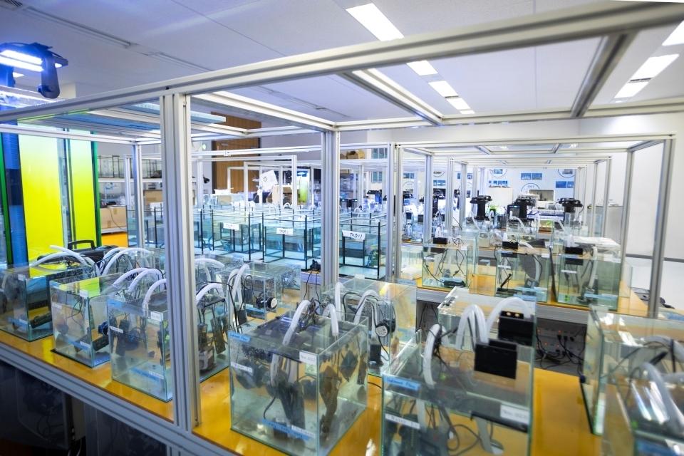 A large, well-lit room in the office of Innoqua Inc., with many small aquariums lined up on sizable tables.