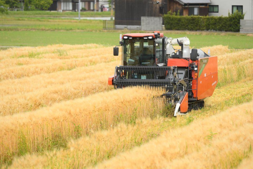 An automated combine harvester reaping in a rice paddy