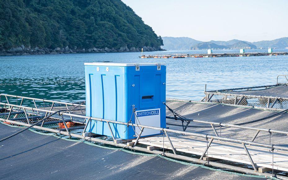 Achieving Sustainable Aquaculture Through AI Technology