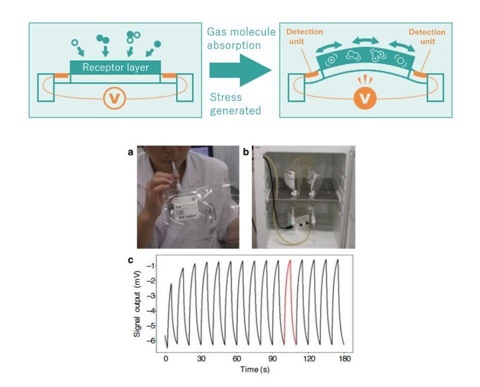 Diagrams showing how the MSS sensor reacts to stress on the membrane