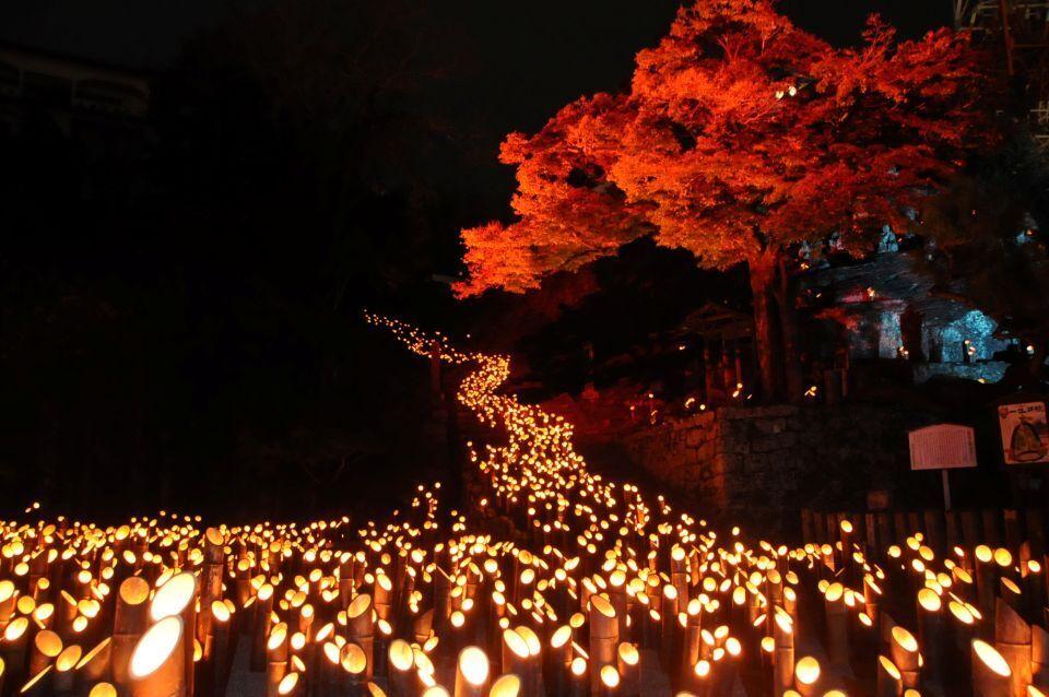 Thousands of bamboo lanterns lit up after dark during the Taketa Festival of Bamboo Lanterns, with an illuminated red maple tree in the background.