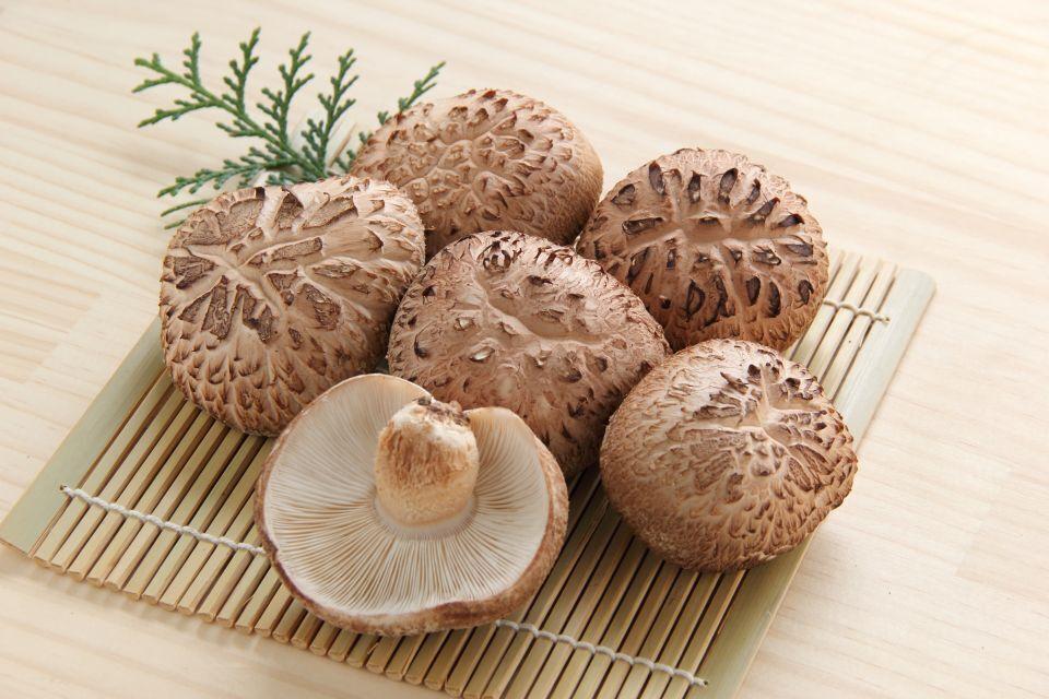 Six large, light brown shiitake mushrooms arranged on a bamboo mat