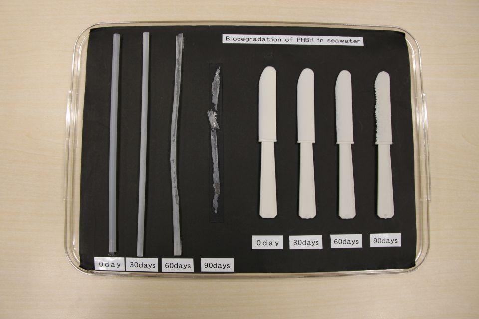A biodegradable straw and knife at various stages of decomposition