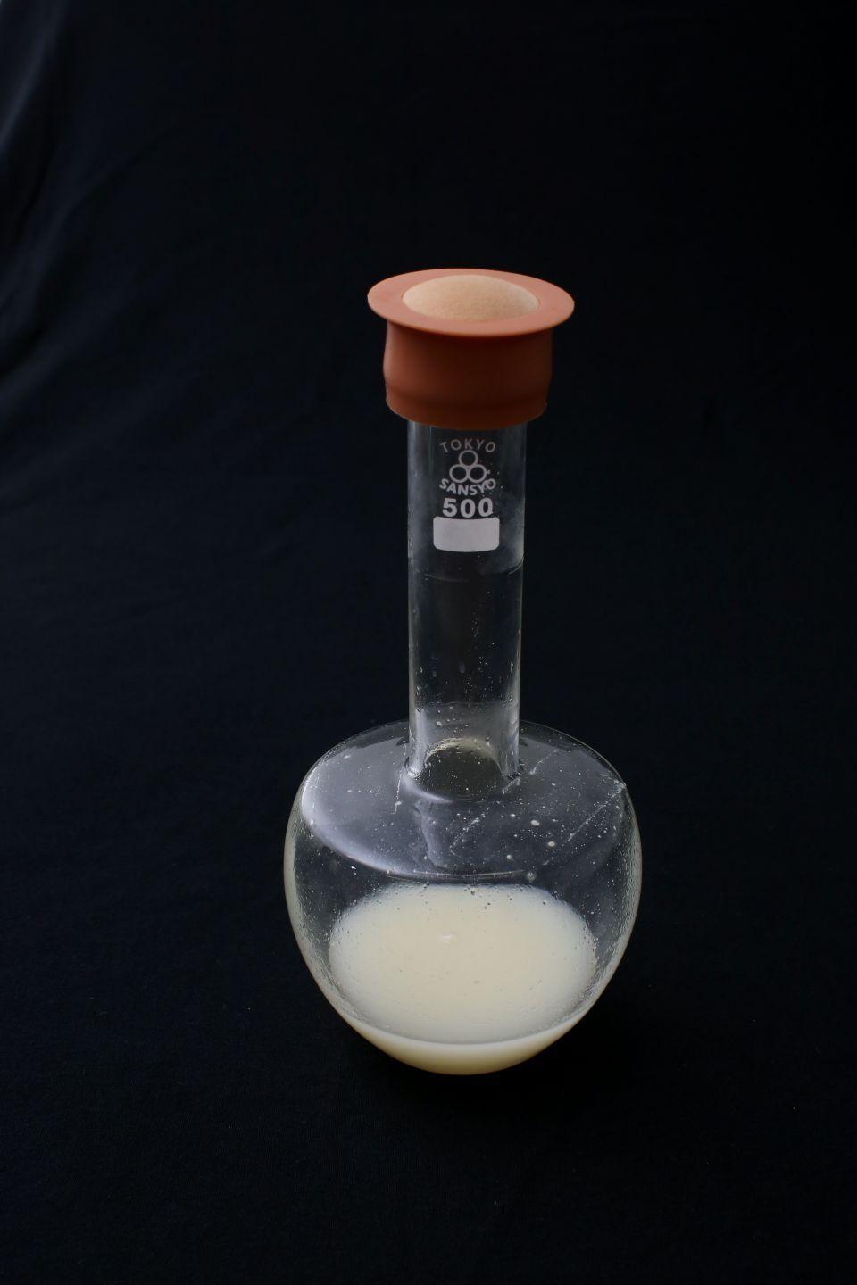 A small glass flask for hydrogen-oxidizing bacteria cultivation