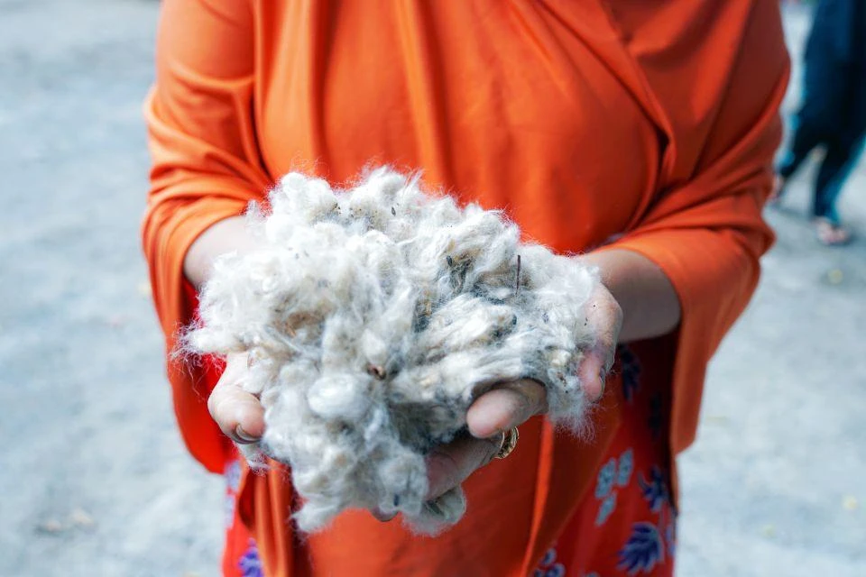People in Indonesia holding kapok fibers