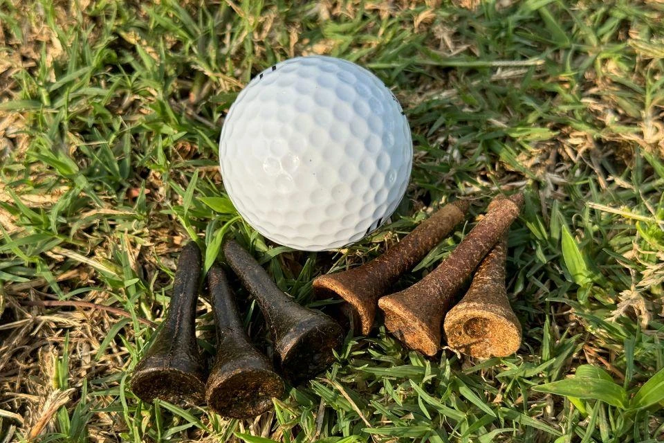 Golf tees made from spent coffee grounds, shown next to a golf ball. 