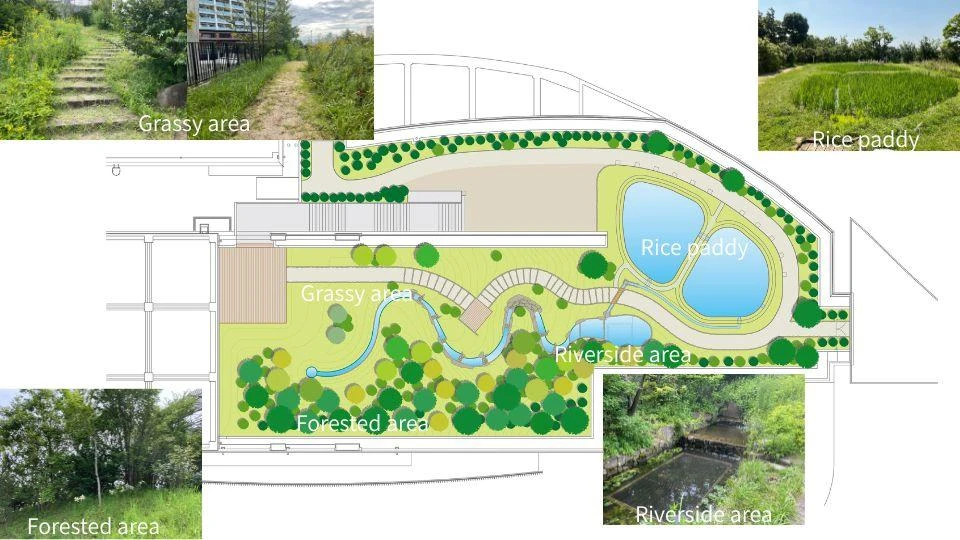 An overview of the various biotopes in the Ohashi Village Forest green space