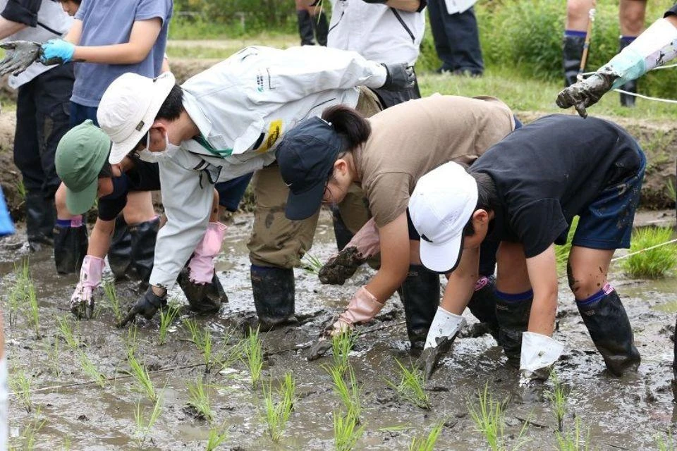 Children participating in rice planting in the paddy at the Ohashi Village Forest