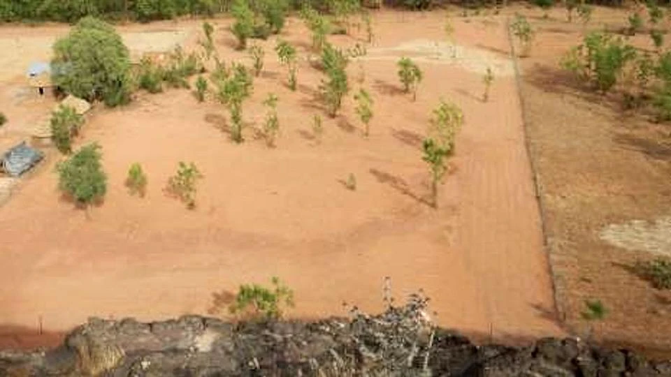 Land degraded by desertification in Burkina Faso