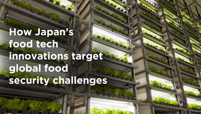 How Japan’s food tech innovations target global food security challenges